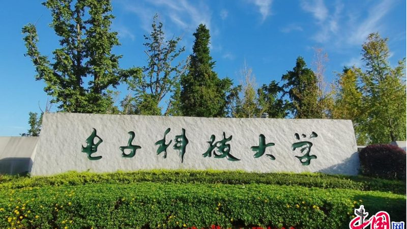 单片机电子模块：从入门到实践，一步步掌握使用技巧**